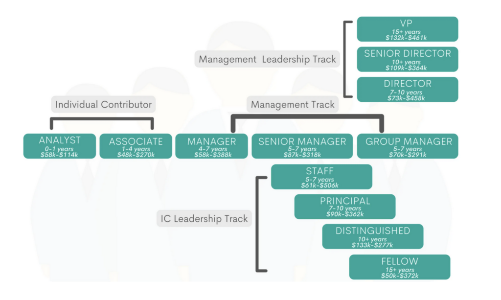 Career Ladder Flowchart for Data Scientists in Pharma