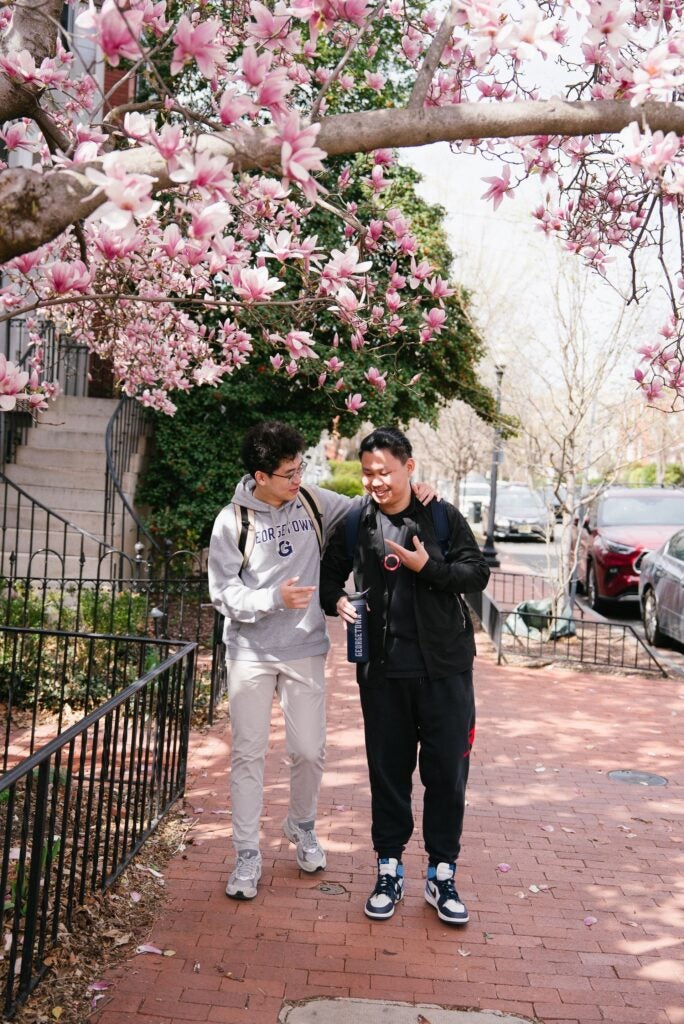 Two students walking in Georgetown under the cherry blossoms.